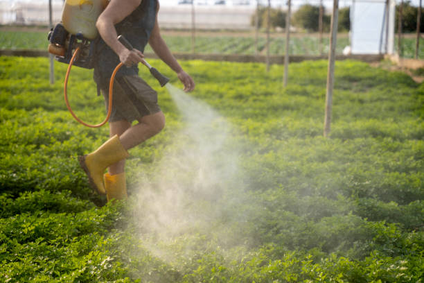 Best Commercial Pest Control Services  in Lemont, IL