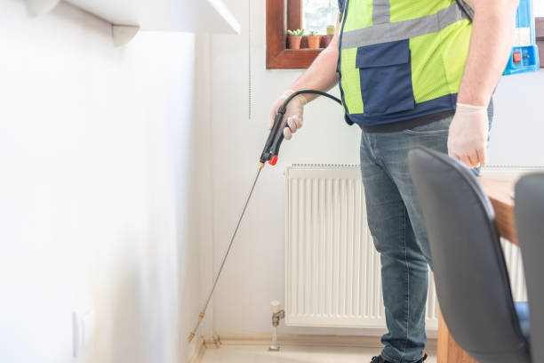 Best Mosquito Control Services  in Lemont, IL